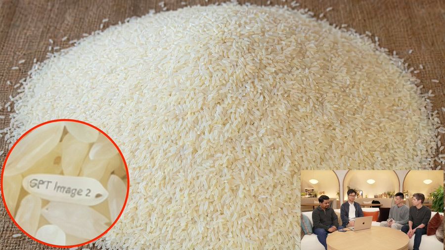 Hạt gạo khắc chữ ẩn