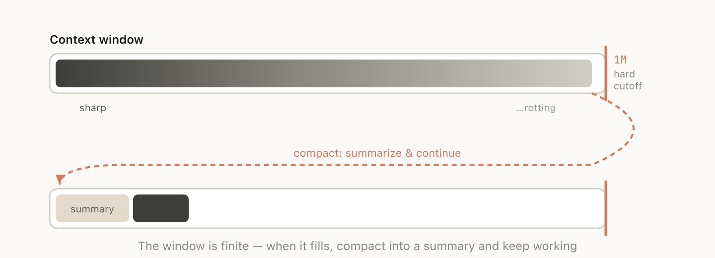 Thariq - inline image