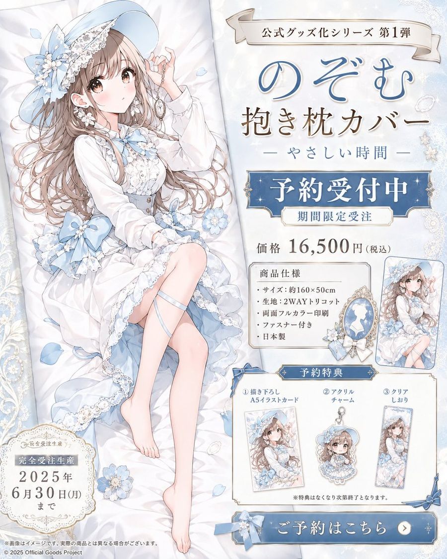 Anime Dakimakura Preorder Poster