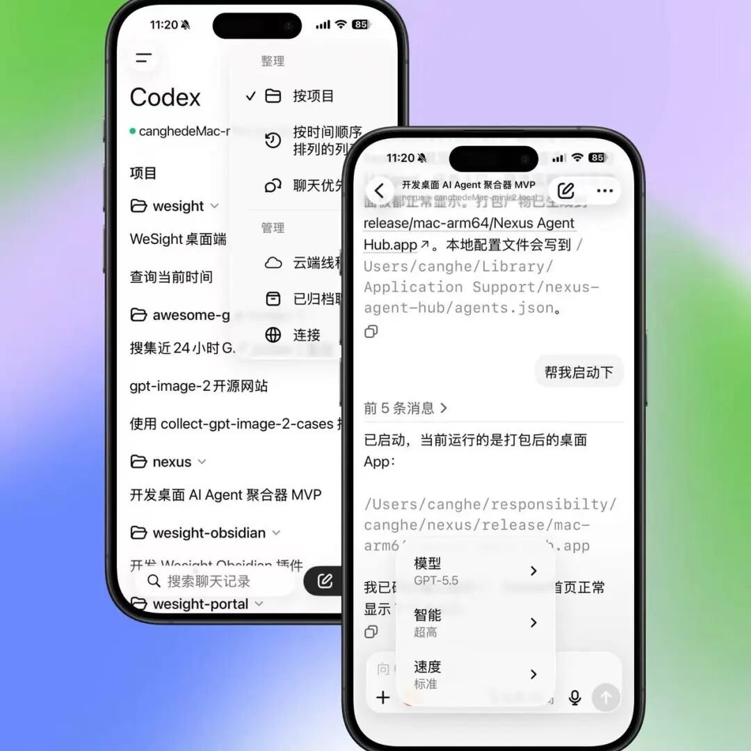 苍何 - inline image