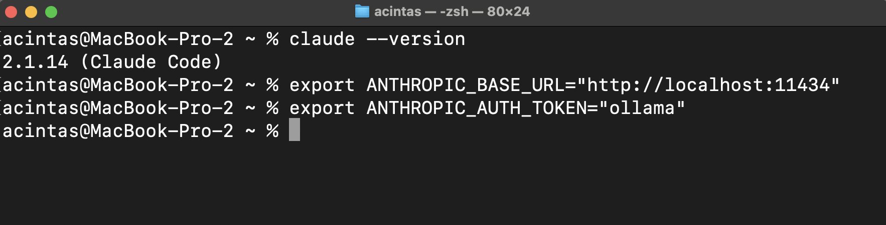 Alvaro Cintas - inline image