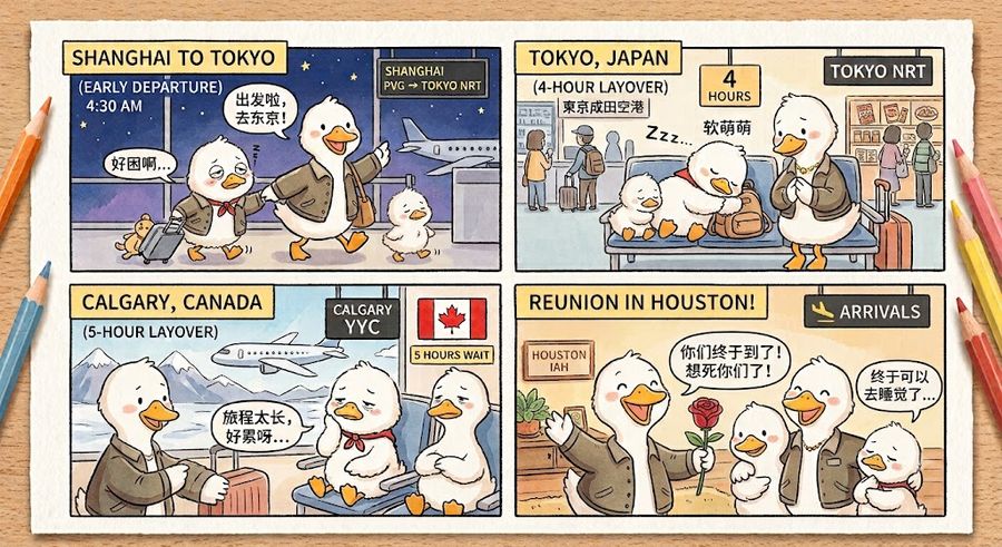 Cómic de viaje de la familia pato
