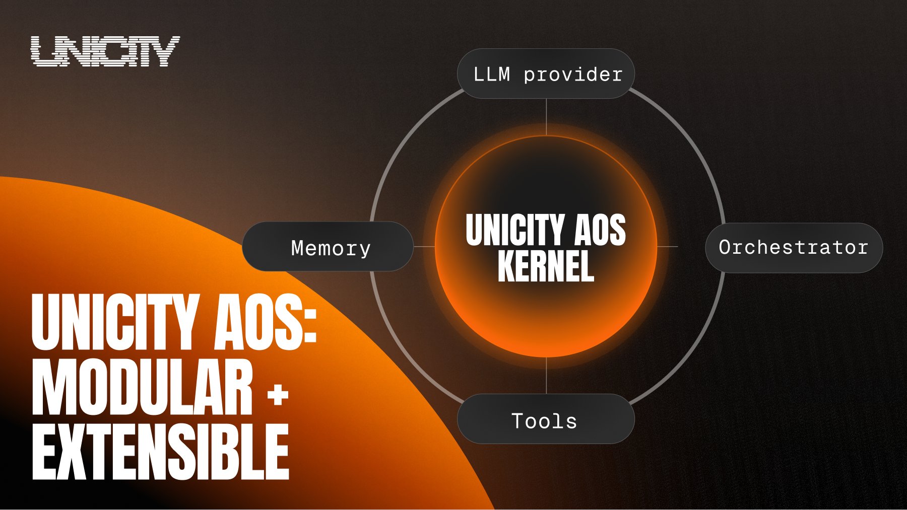 Unicity - inline image
