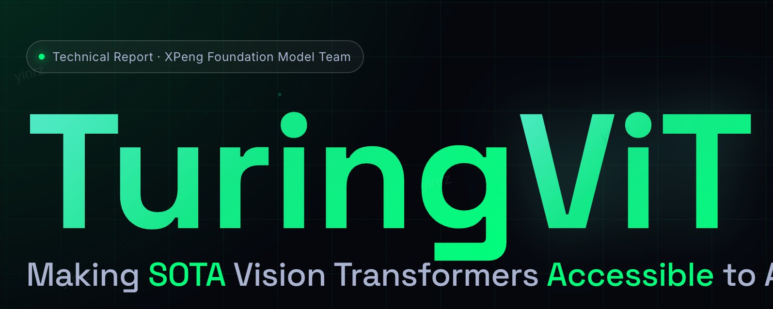 TuringViT: Building the Vision Encoder for Physical AI