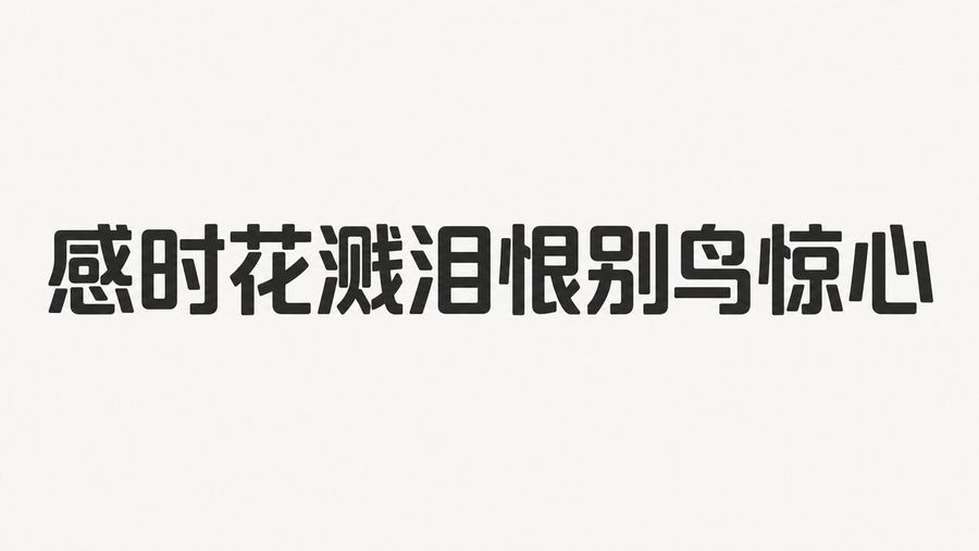 Humanist Sans-Serif Typography Design
