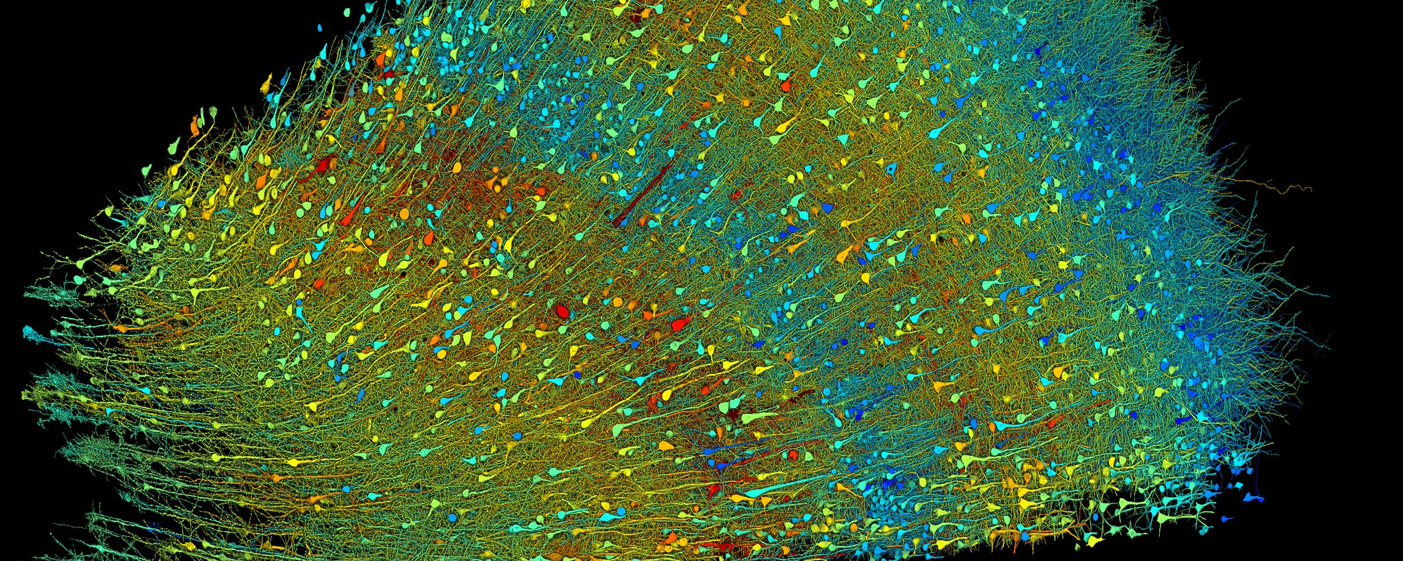 Mapping the Brain with Connectomics