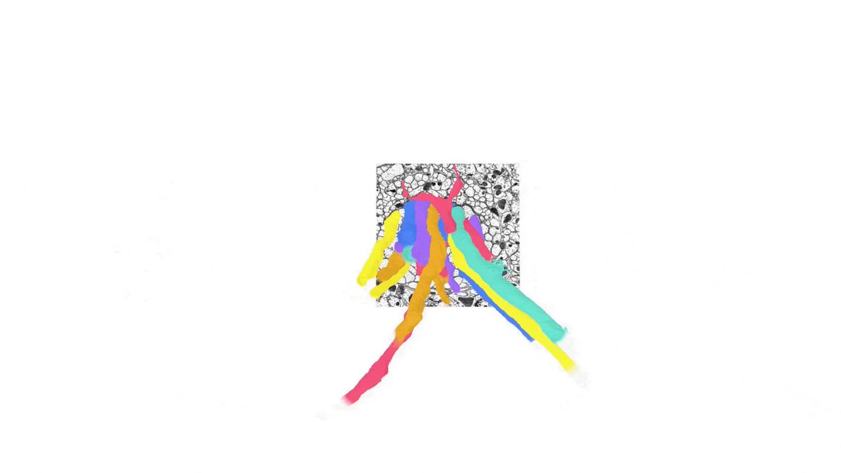 Google AI - inline image