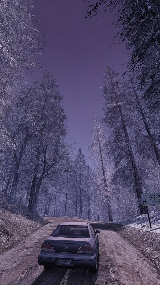 Cinematic Winter Road Landscape