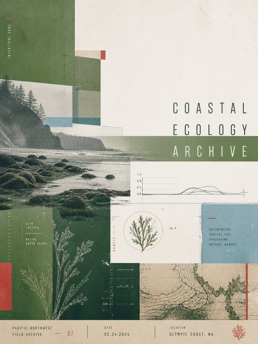 Póster de Archivo de Ecología Costera