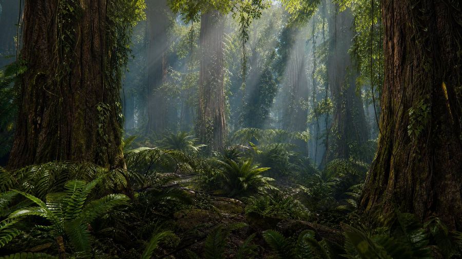 선사 시대 레드우드 정글