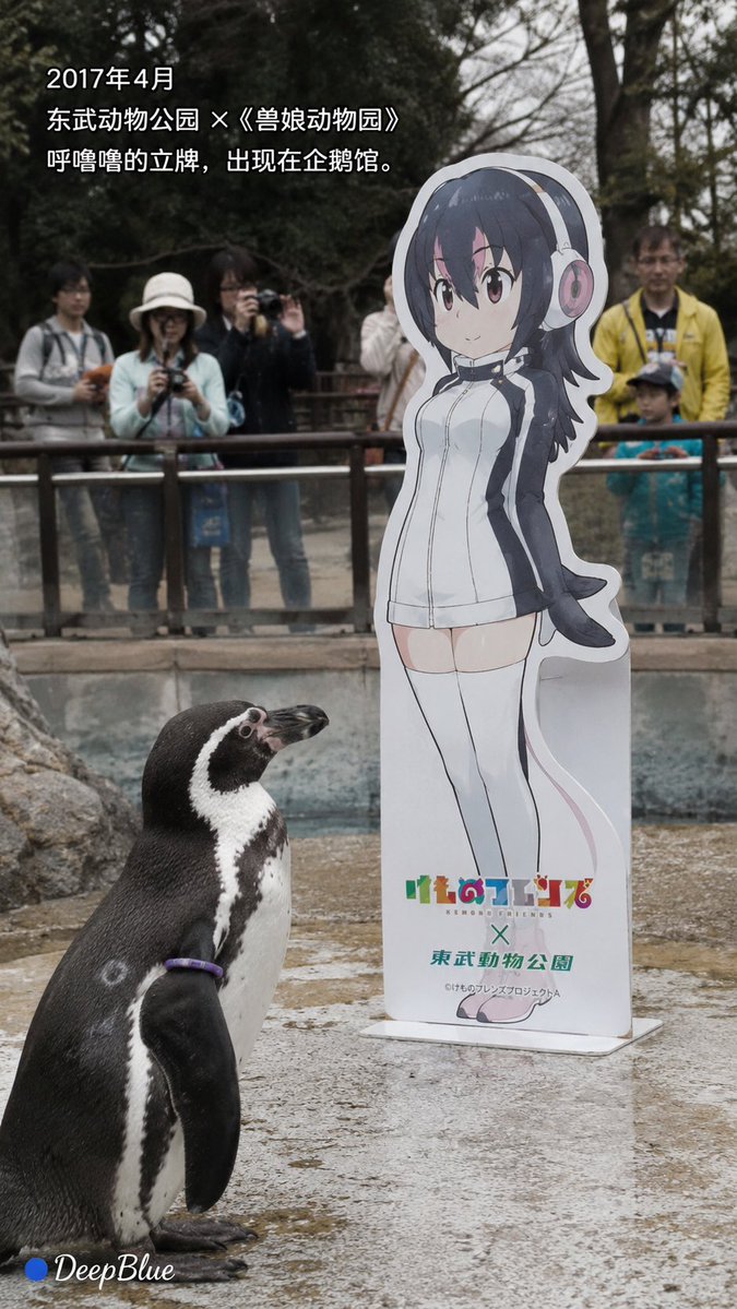 Serie fotográfica documental de Grape-kun