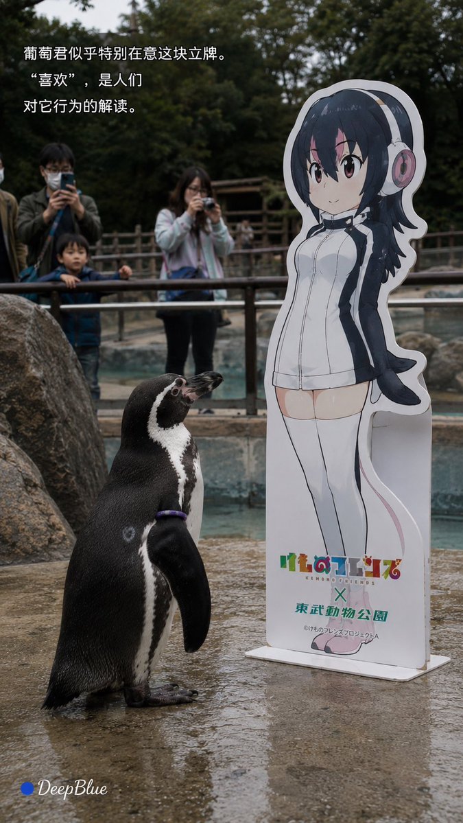 Serie fotografica documentaristica su Grape-kun