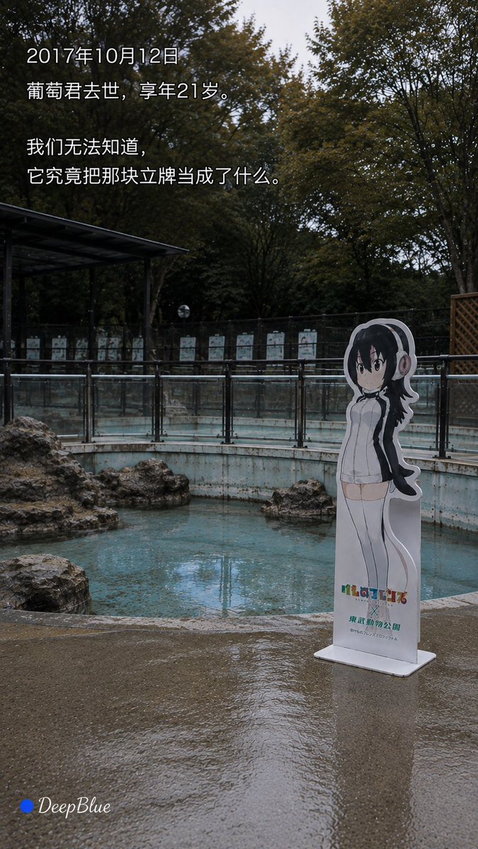Serie fotografica documentaristica su Grape-kun
