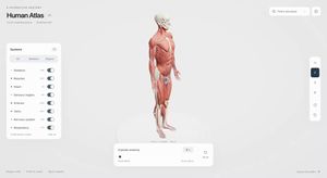 Site Interativo de Anatomia Humana em 3D
