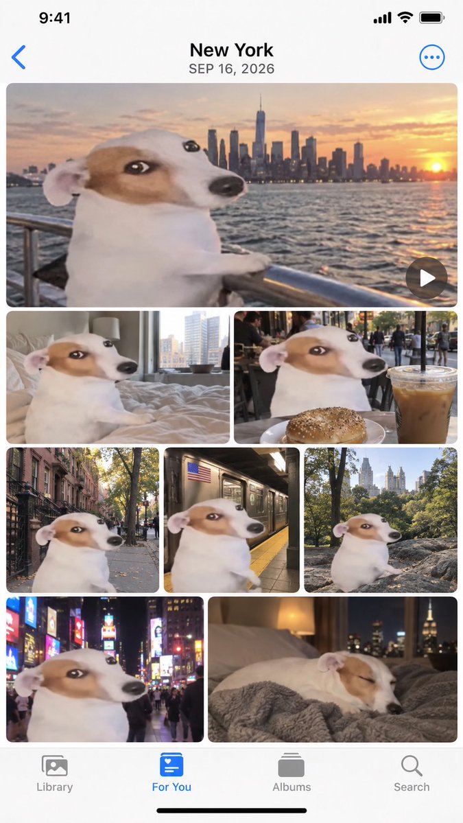 Apple Photos App Mockup - NYC Dog Trip