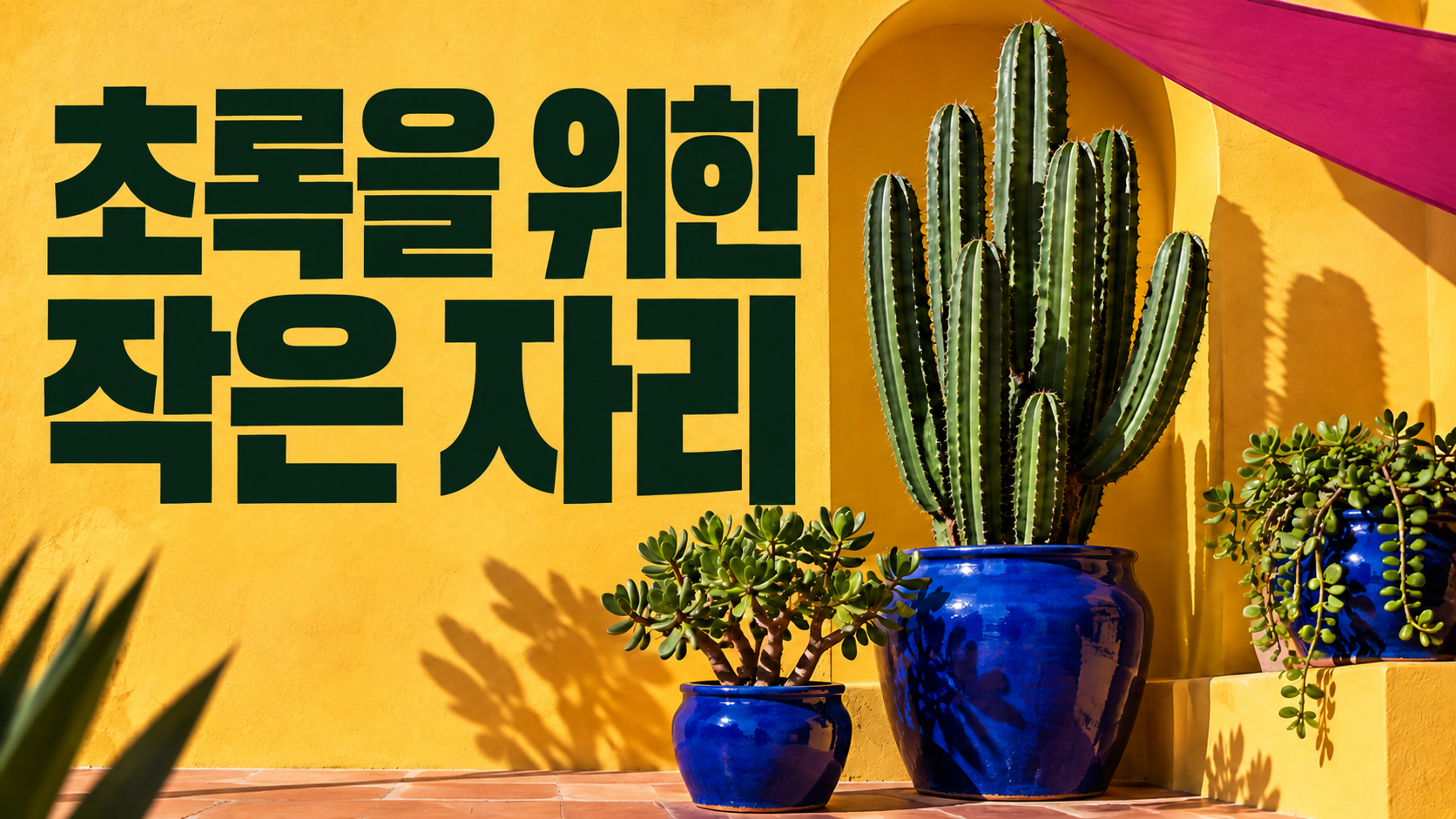 YouTube 썸네일