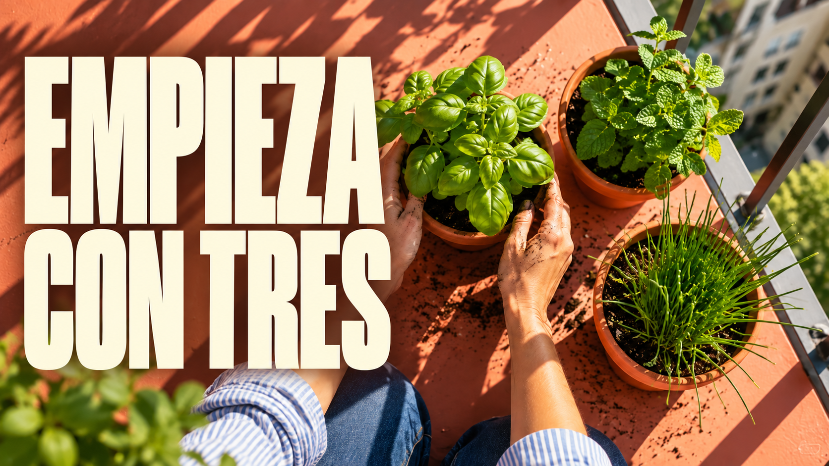 Dos propuestas de miniatura