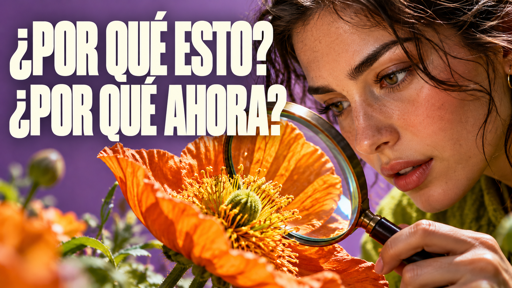 Ideas para videos