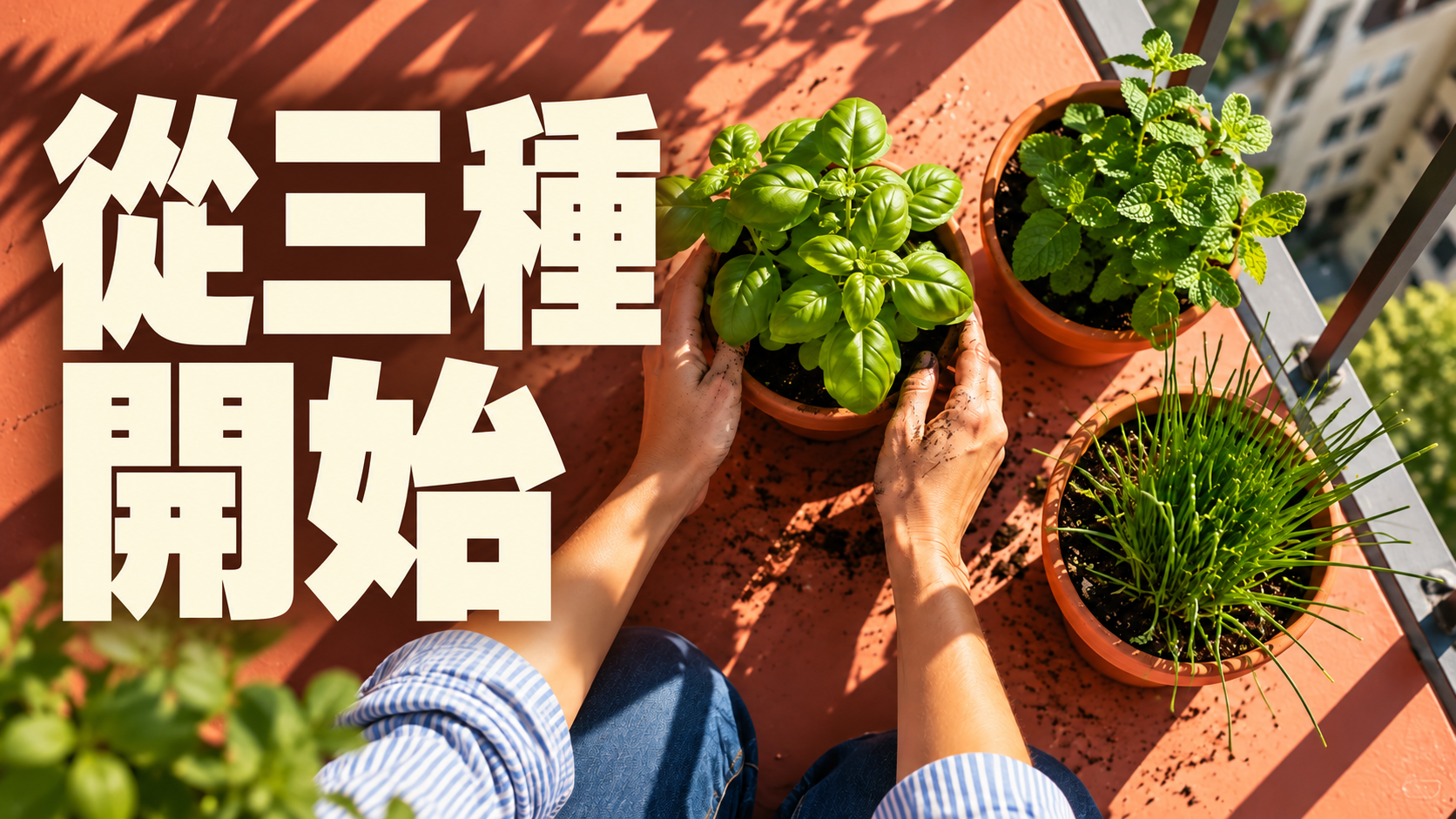 兩種縮圖方向