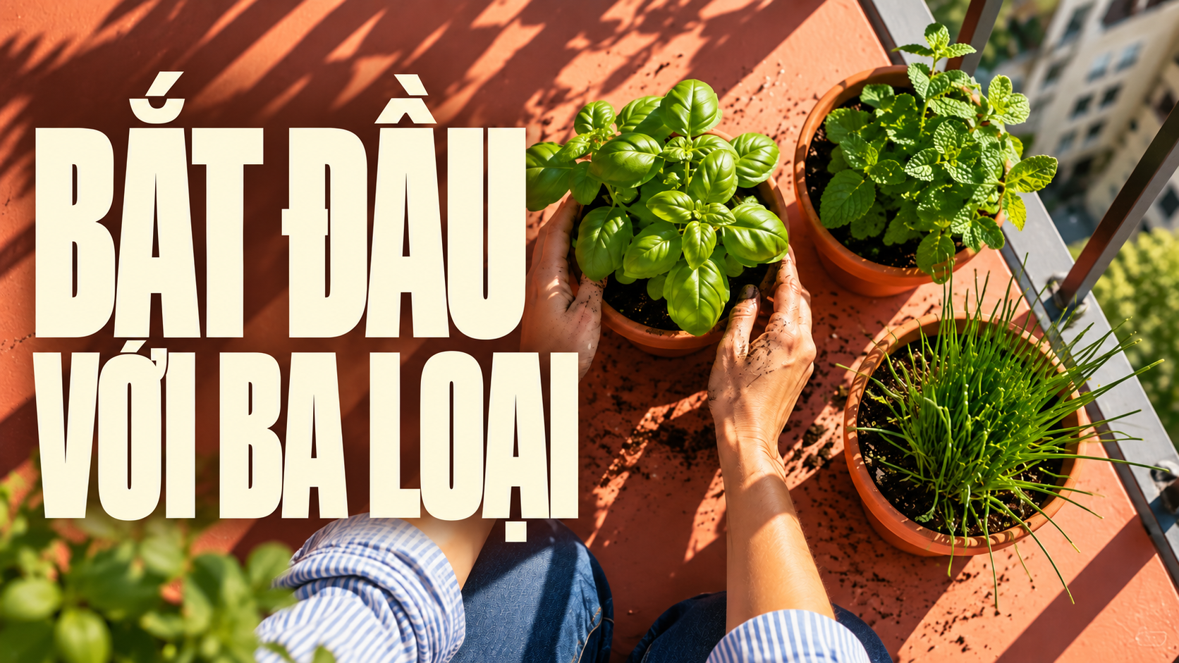 Hai phương án ảnh thu nhỏ