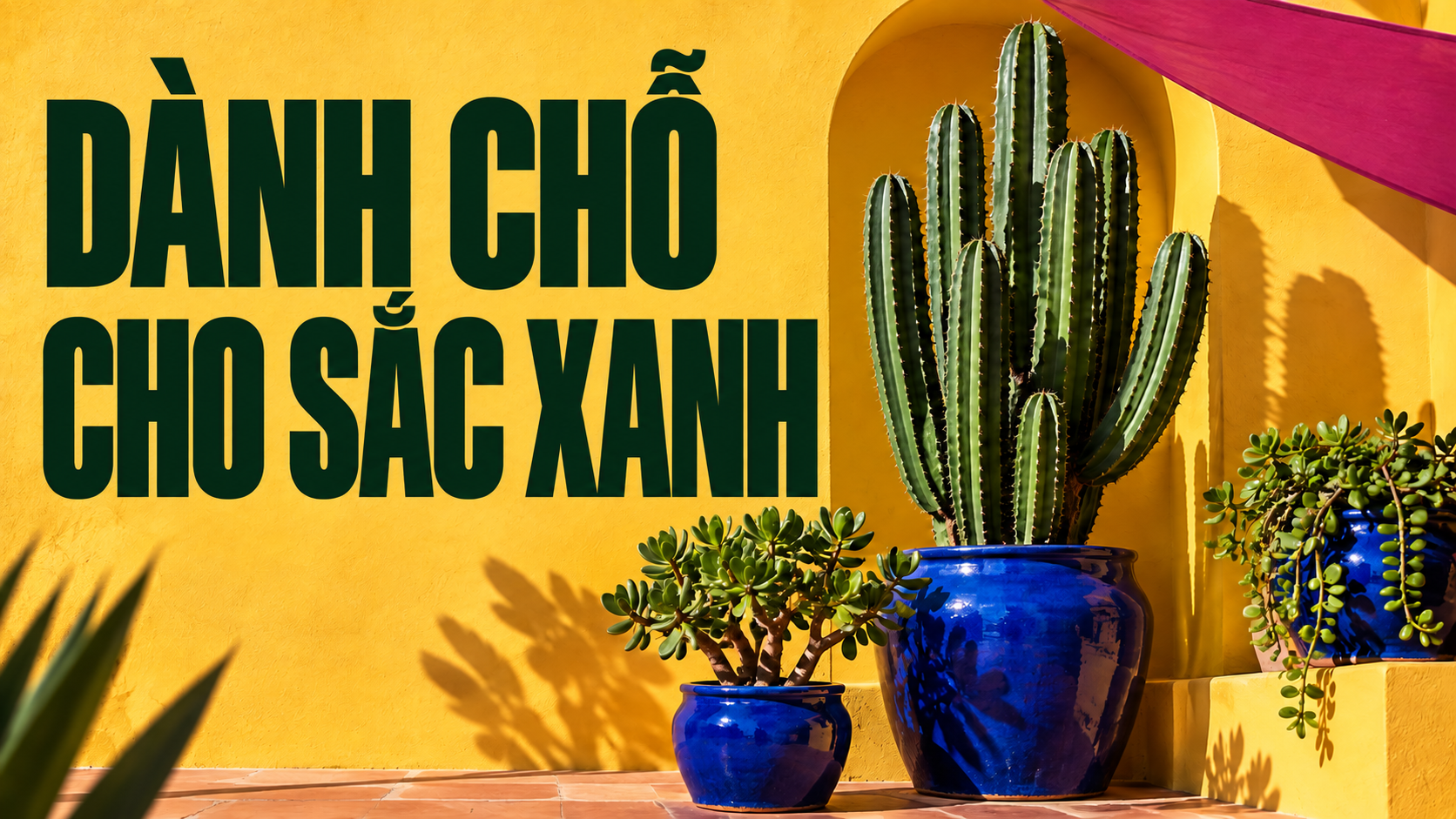 Ảnh thu nhỏ YouTube