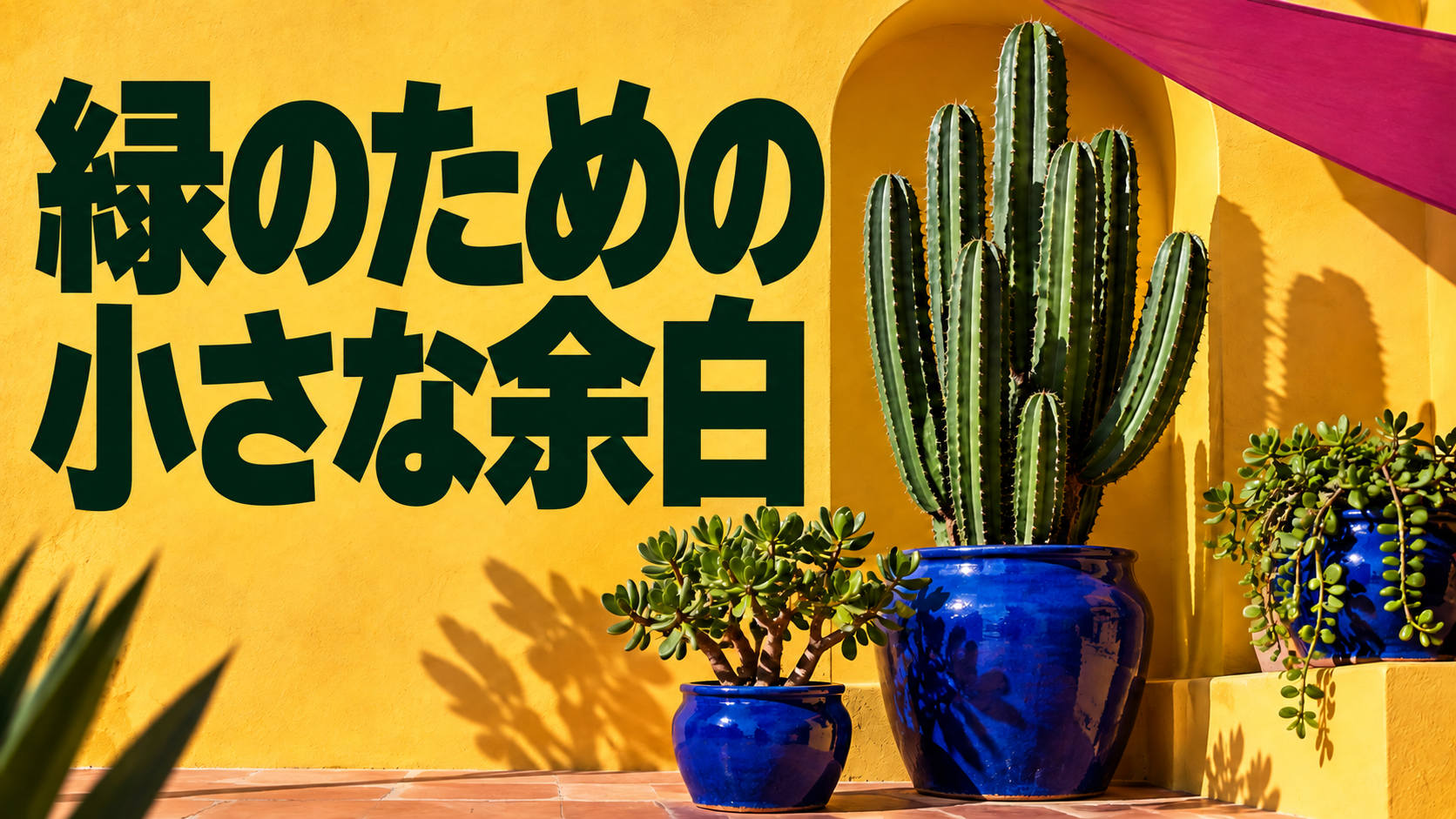 YouTube サムネイル