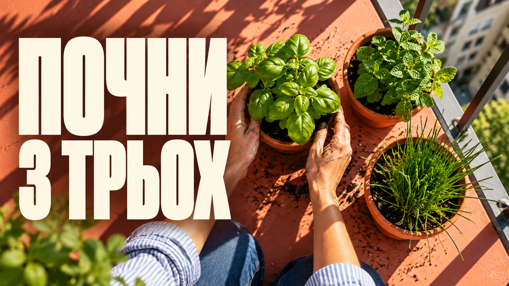 Два варіанти обкладинки