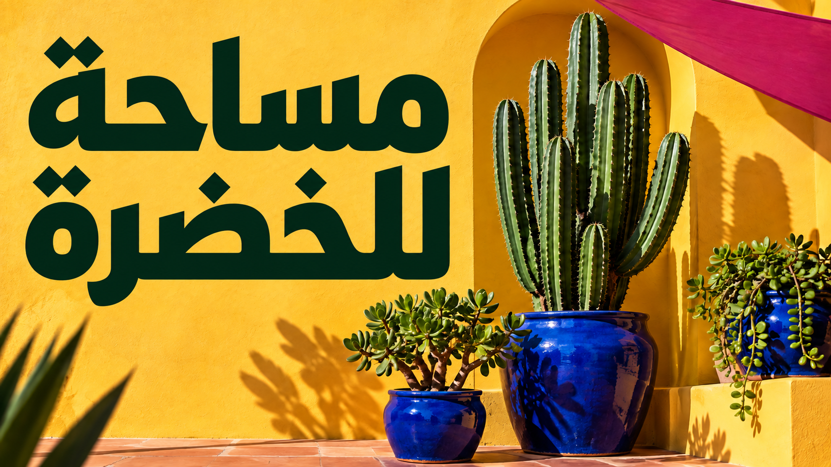 صور YouTube المصغّرة