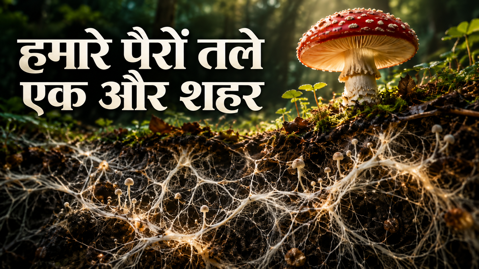 जंगल के नीचे की दुनिया