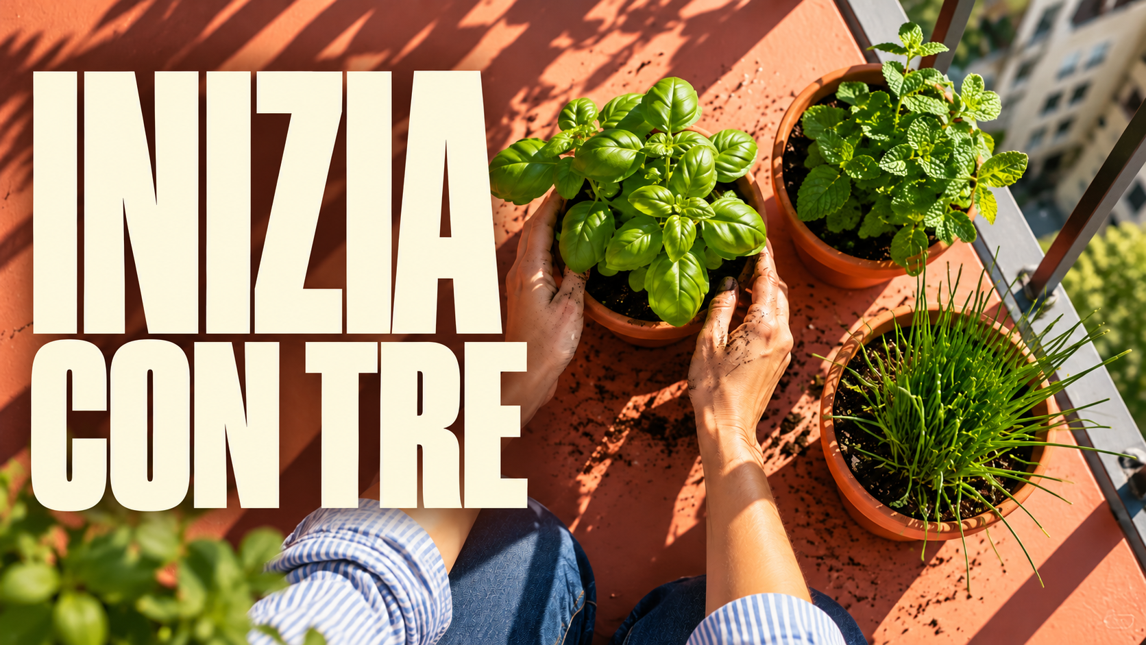 Due direzioni per la miniatura